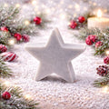 Silver Star Christmas French Soap 30g — product